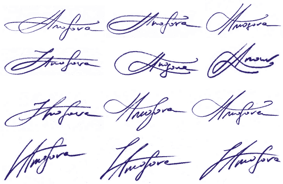 fvtograf3.gif (28721 bytes)